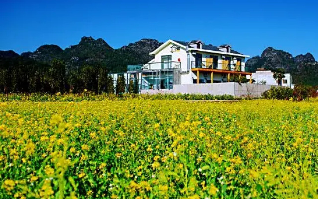 Xingyi Pinfengmingshuwanfeng