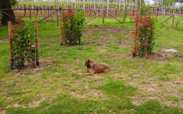 Agriturismo La Valle