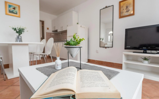 Vesna 1 city central apartment
