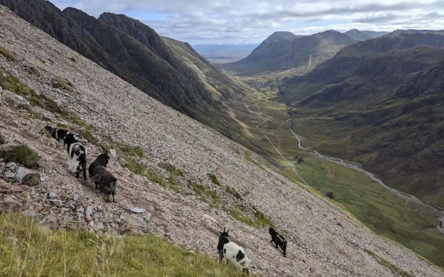 Strath Lodge Glencoe
