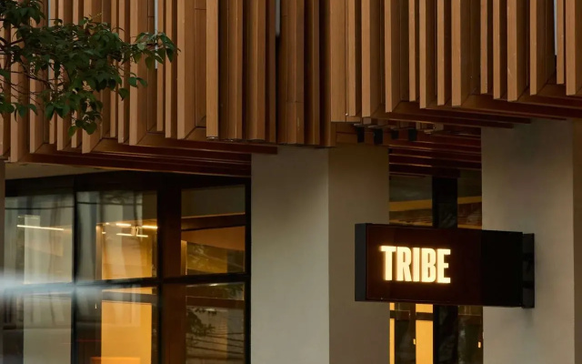 Tribe Belo Horizonte Savassi