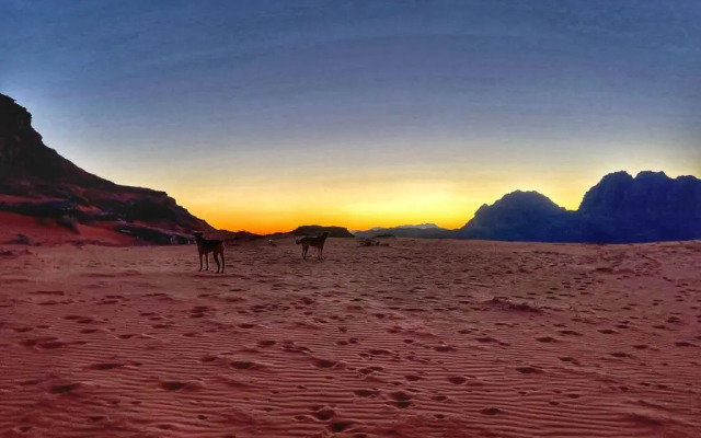 Wadi Rum Bedouin Tour with a Camp