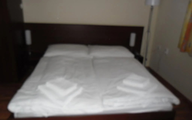 Hotel Arli