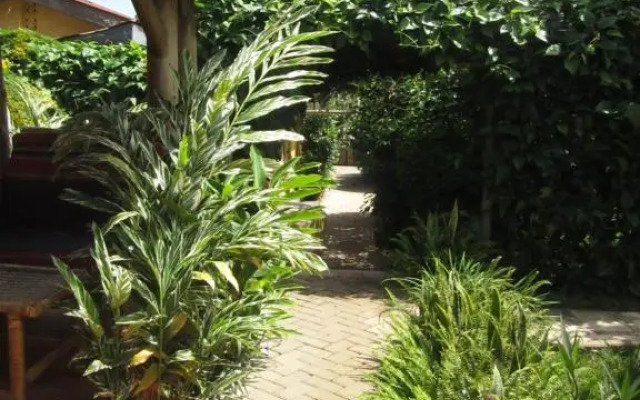 Precious Guesthouse