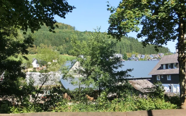 Graceful Holiday Home Near Ski Area in Schmallenberg Germany