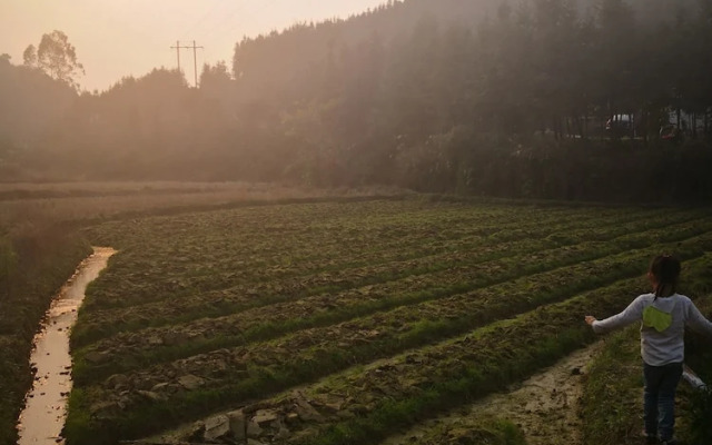 u dot farmstay