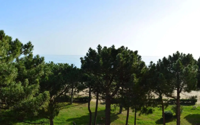 Appartement Argelès-sur-Mer, 2 pièces, 3 personnes - FR-1-225-26
