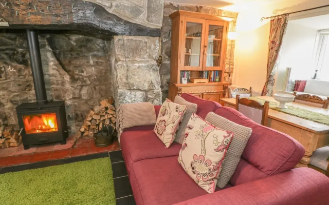 Plas Arenig