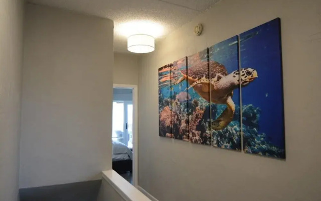 Island House G236