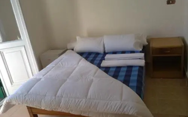 Transit Alexandria Hostel