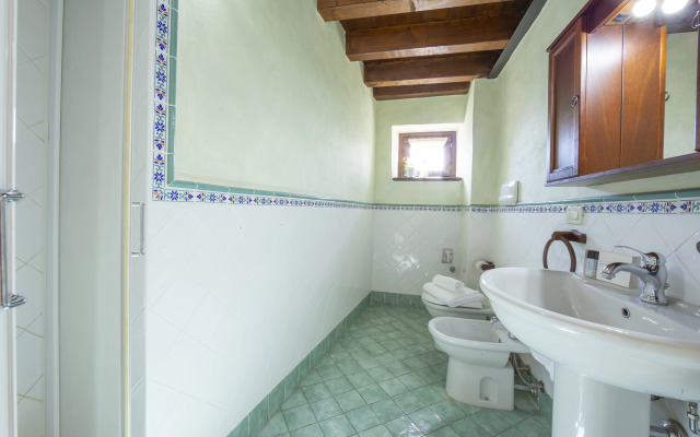 Orchidea Liano