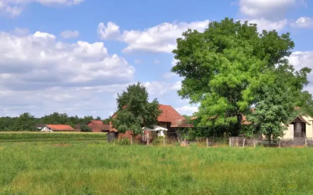 Country house Repaš 88