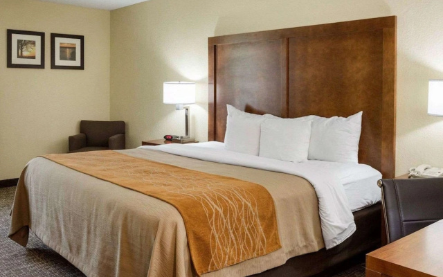 Comfort Inn Olive Branch