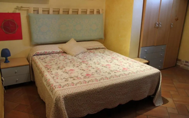 B&B Chorisia
