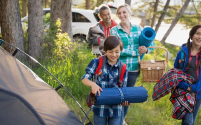Hospedaje y Zona de Camping Pistacho