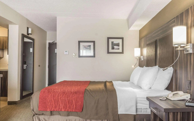 Comfort Inn Trenton