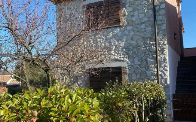 Bosco Verde