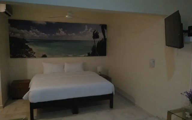 Apart Hotel Tortuga
