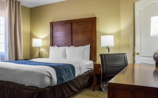 Comfort Inn & Suites At Talavi