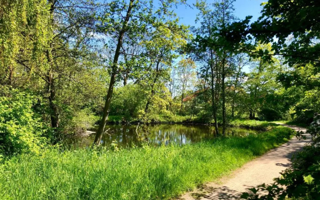 Ferienwohnung Parkblick