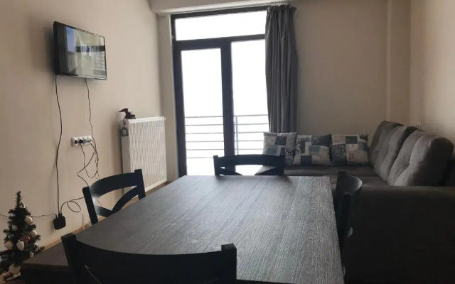 Saxli Creze Tsakadze Street N 26