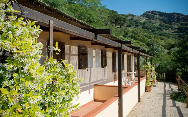 La Mandolaia