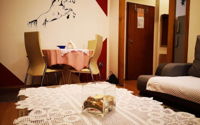 Apartment Ruza