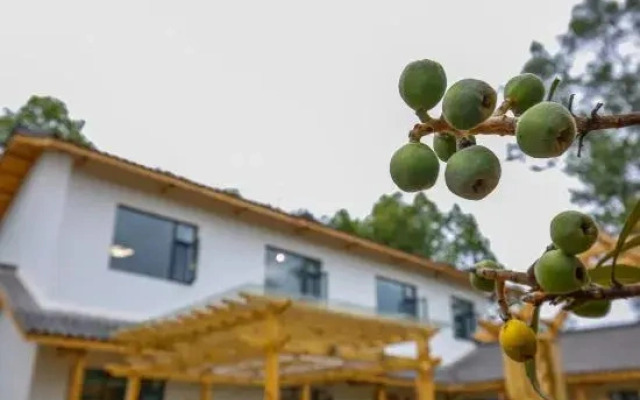 Mianyang orange courtyard home stay