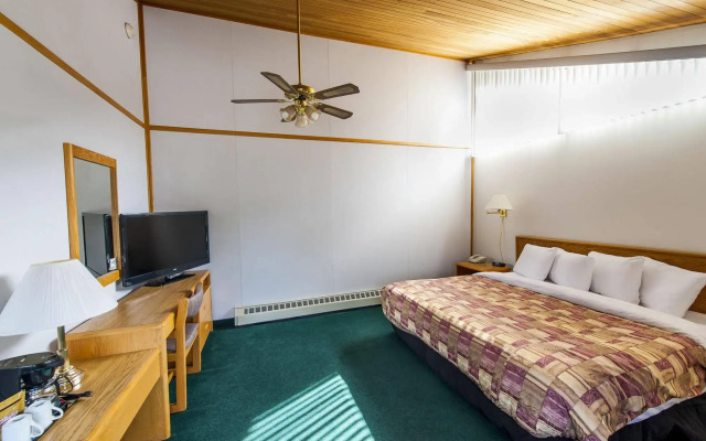 The Dorothy Motel
