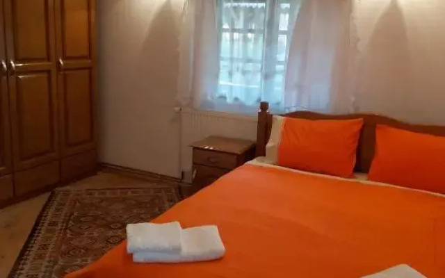 Casa De Vacanta Padis