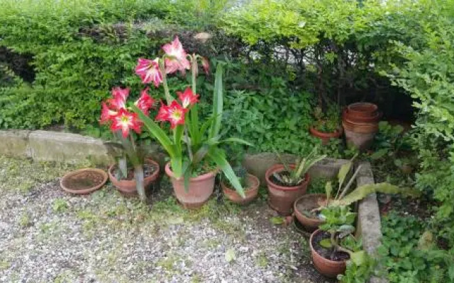 Aduepassidallafiera