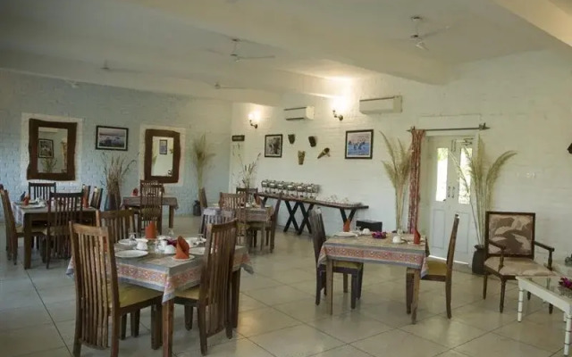 Jawai Jungle Camp