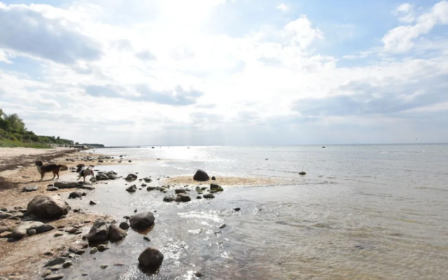 Spacious Apartment in Rakow near Sea