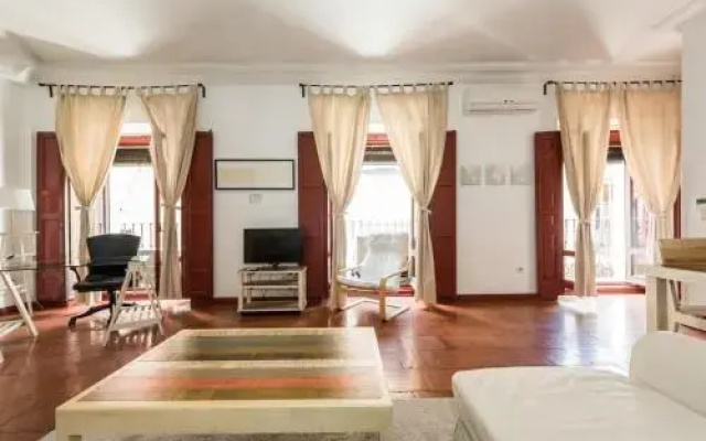 Apartamentos Madrid Centro Internacional