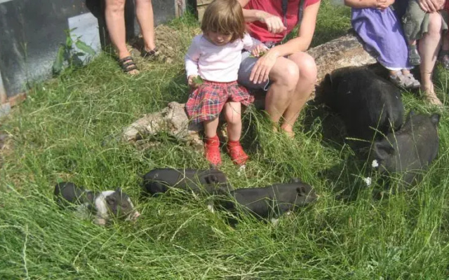 Fuglsang Farm Holiday