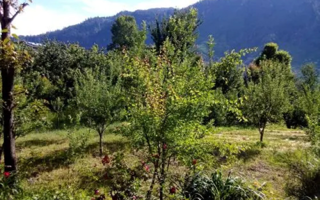 Splendour Manali