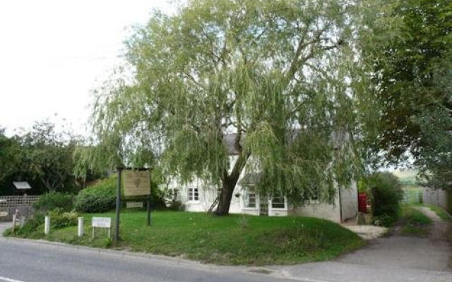 The Willows