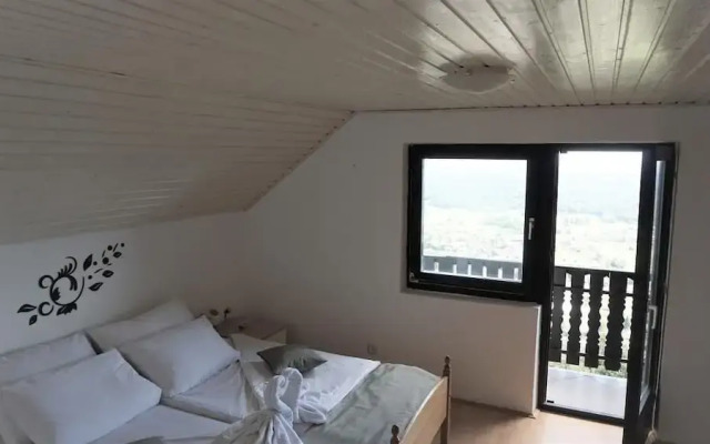 Vineyard Cottage Zajc
