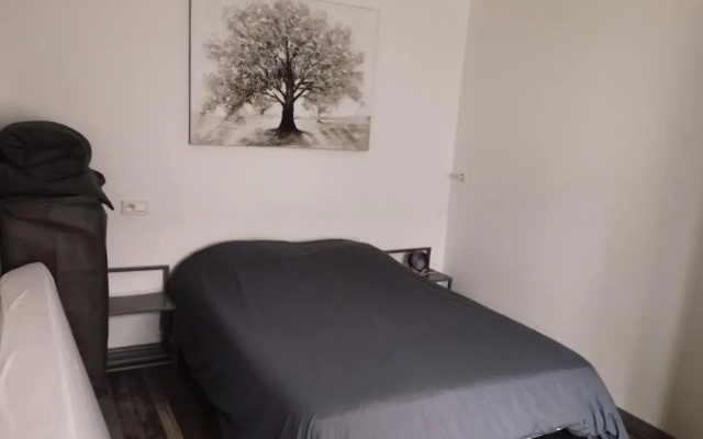 Moissac Charmant Appartement avec Jardin