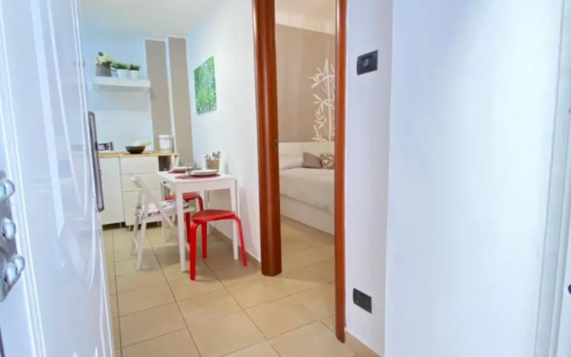 Il Bamboo 1