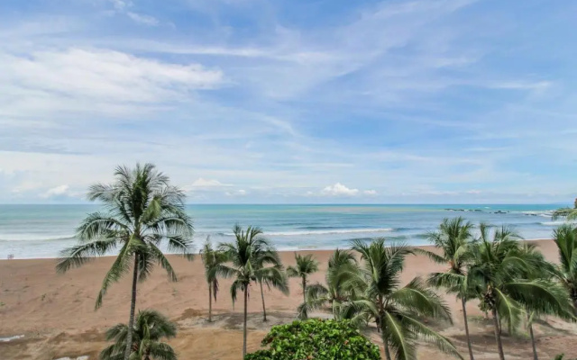 The Palms 504