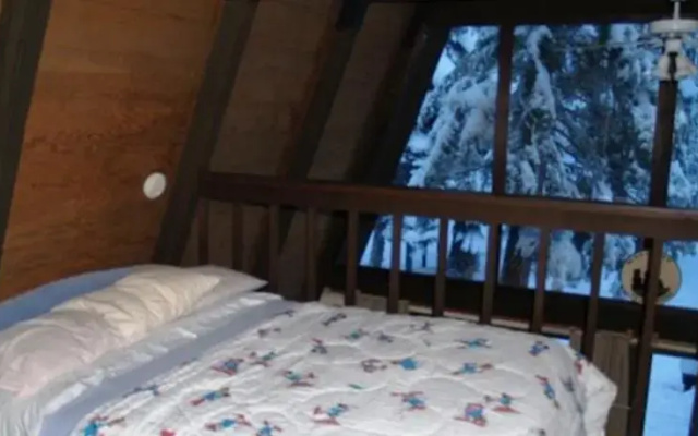 RedAwning Northwoods Cabin