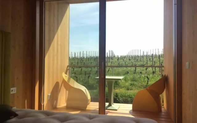 Eco Bio Agriturismo La Bella Vite - Camere Con Vigna