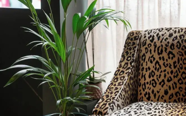 The Hat Maker Boutique Hotel