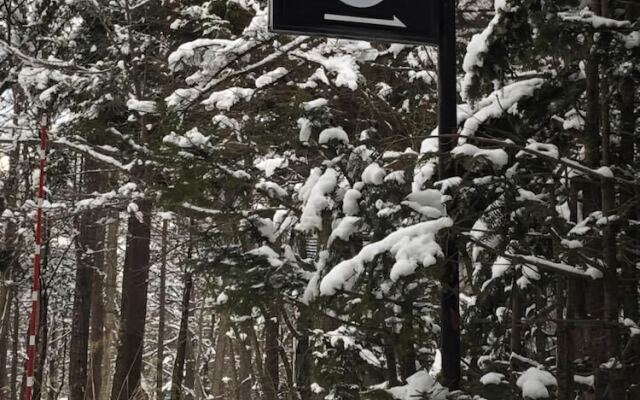 Отель 36 Degrees North, Lodge Hakuba Japan Хакуба спортивное сооружение