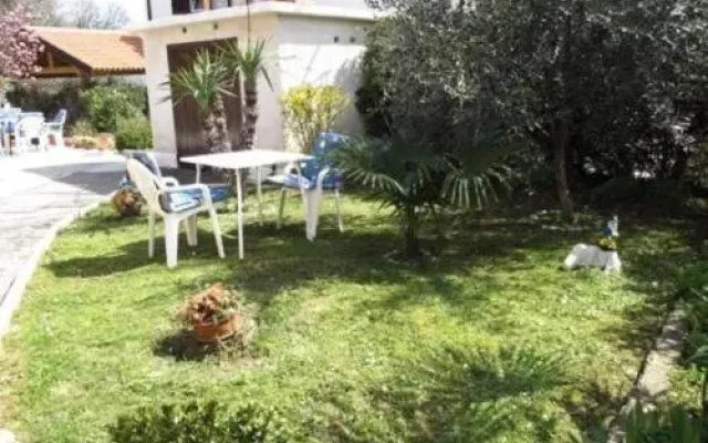Apartment Franjo