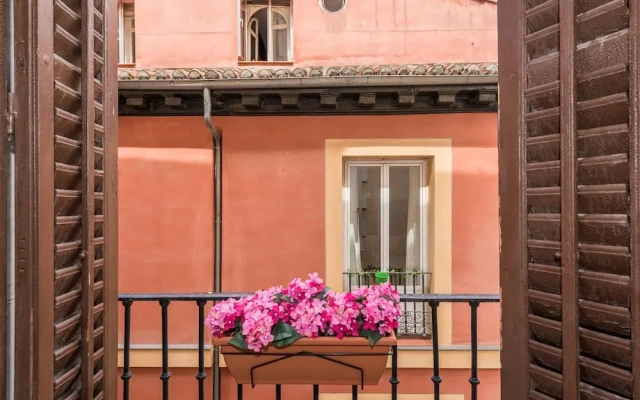 Apartment Puerta del Sol