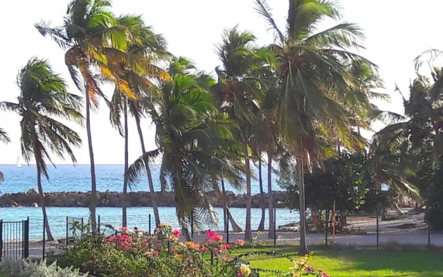 Studio Bleu Caraibe