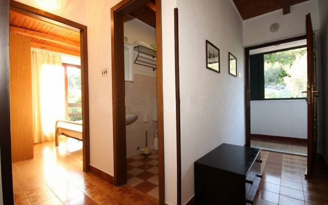 Apartment Iva