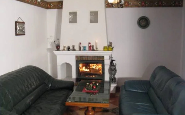 Vila Stefana Paltinis